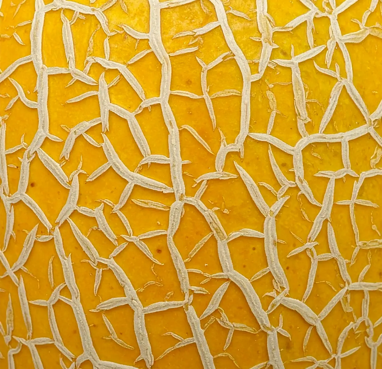 pic