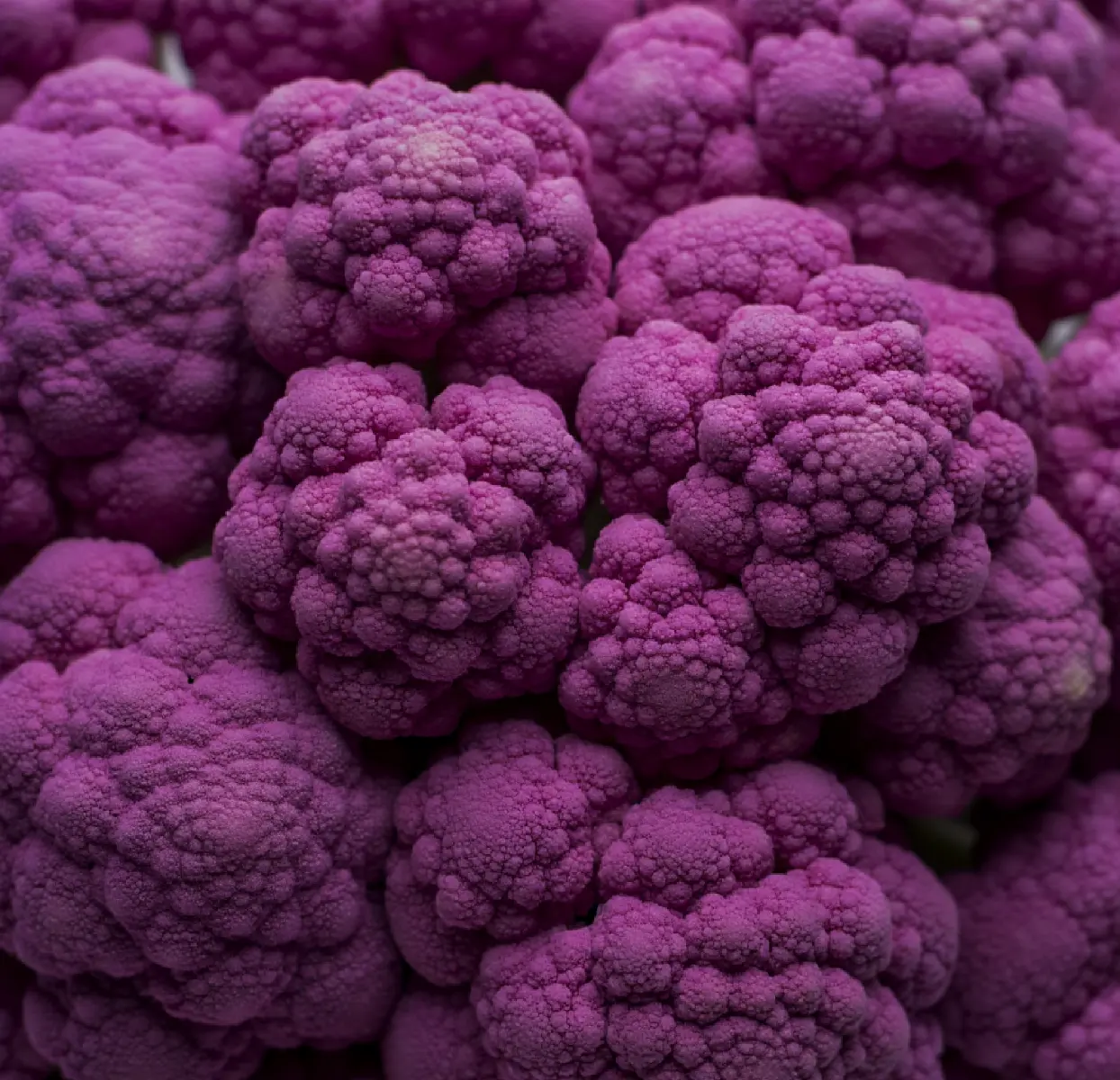 pic